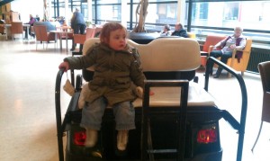 Roos in het ziekenhuis op de kar.